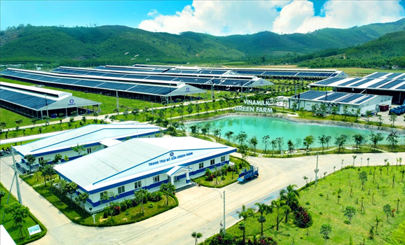 Khung kèo cho chuồng bò giống Vinamilk